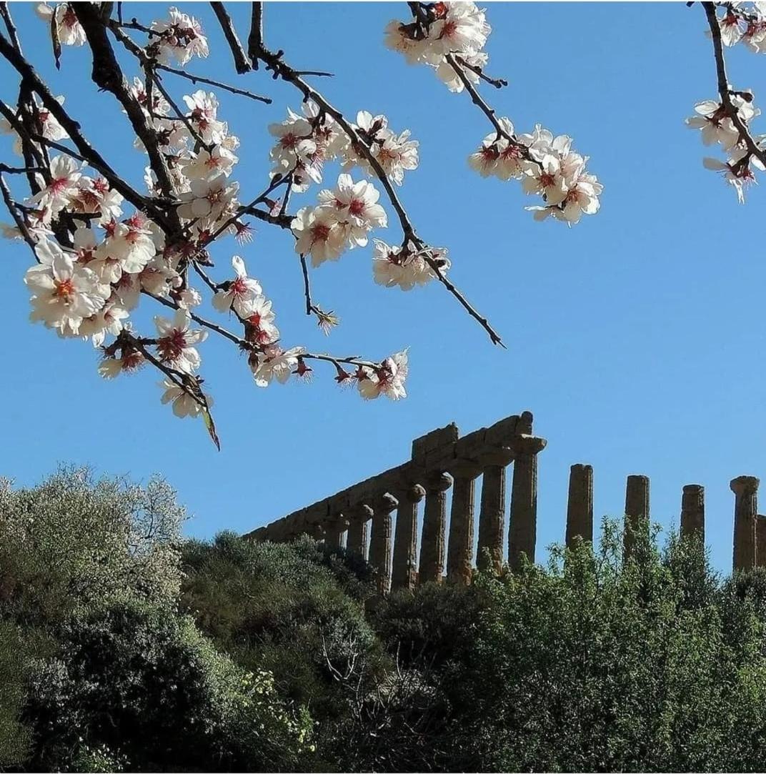 B&B Giunone Αγκριτζέντο Δωμάτιο φωτογραφία